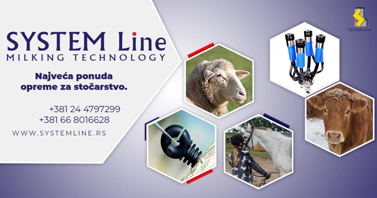 www.systemline.rs